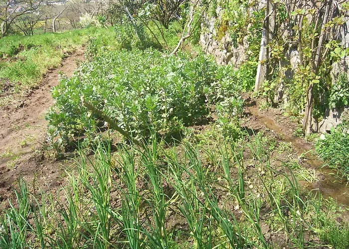 Penzion Casa Do Almocreve 3*