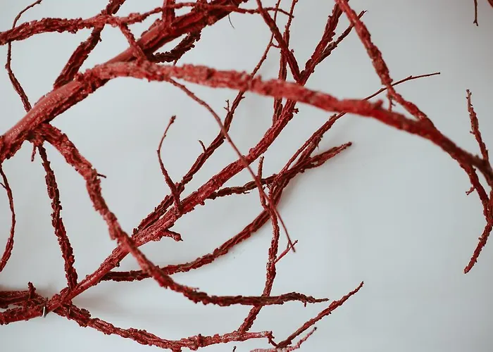 Casa Do Almocreve 3* Baião